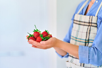 Female hands holding fresh ripe organic strawberries