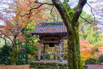 丹波篠山地方の紅葉