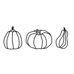 A set of pumpkins of various shapes, with a black outline. Vector collection of hand-drawn pumpkins on a white background. 
Elements for autumn decorative design, halloween invitation, harvest