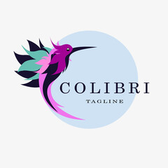 Beautiful Simple Bird Colibri Logo Design Vector. Creative stylish colored logo