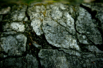 A cracked stone with focused light