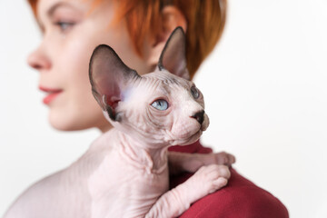 Canadian Sphynx Cat lying on shoulder of hipster redhead young woman. Selective focus on foreground domestic hairless kitten, shallow depth of field. Studio shot, white background. Part of series