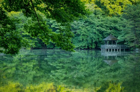 水面に映る森とあずまや　beaitiful lake with a gazebo in the forest reflected on the surface of the water 