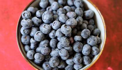 Blueberry close up photo. Fresh organic berries in a bowl. Summer fruit still life photo. 