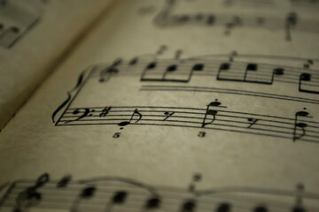 Old notes. An excerpt from a musical notebook. bass and violin clef, sheet music in the book....