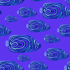 Seamless pattern with hypnotic Imperial Angel fish - 514206018
