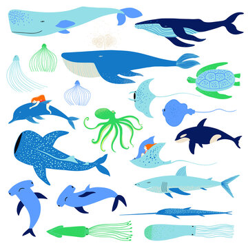 Big set of underwater animal illustrations
