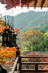 奈良談山神社の紅葉