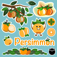 Persimmon vector art stickers, persimmon little character and logo, persimmon fruit set, icon, edible