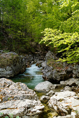 an emerald green brook (Steinacher Achen river) in Pfronten, Fallmühle,  in the Bavarian Alps of the Allgaeu region (Allgaeu, Bavaria, Germany)