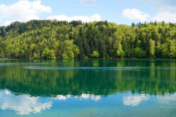 transparent emerald-green waters of lake Alatsee in Fuessen with the snowy Alps and the lush green spring forest in the background, Bavaria, Germany	
