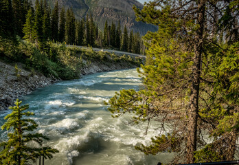 Tokkum Creek in the canyon Kootenay National Park British Columbia Canada