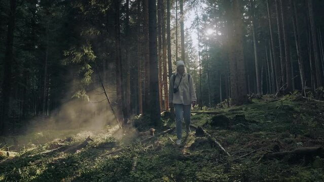 Young woman with blonde hair backpack and film camera hiking in untouched green forest in autumn with her Havanese puppy. The morning sun is making flares. Active healthy female.