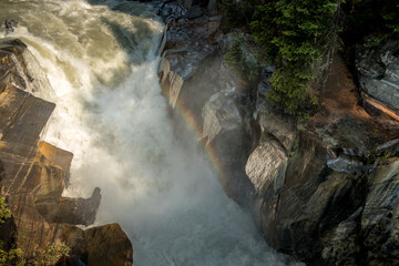 Naklejka premium Water rumbles over Numa Falls Kootenay National