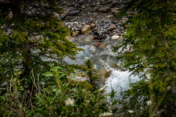 Tokkum Creek rolls on Kootenay National Park British Columbia Canada