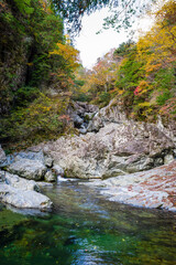みたらい渓谷（奈良県吉野郡天川村）の紅葉