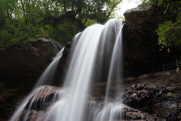 waterfall in the forest　雷滝