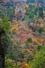 みたらい渓谷（奈良県吉野郡天川村）の紅葉