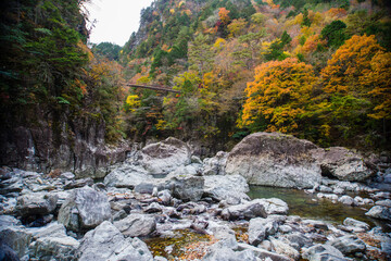 みたらい渓谷（奈良県吉野郡天川村）の紅葉