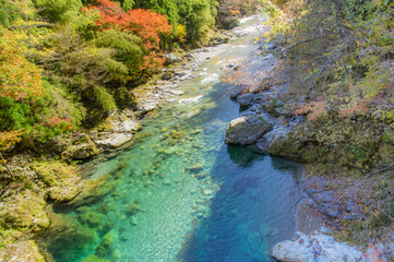 みたらい渓谷（奈良県吉野郡天川村）の紅葉