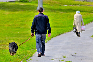 A man walks with a dog on the sidewalk on a summer day