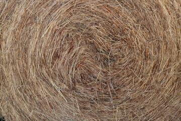 roll of tied and dried hay bales-