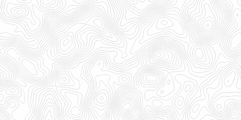 Topographic background and texture, monochrome image. 3D waves. Cartography Background, White wave paper curved reliefs abstract background	