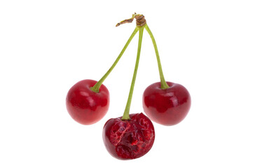 cherry isolated