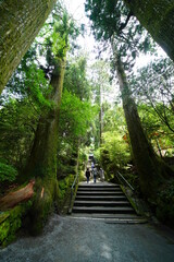 箱根神社の鳥居