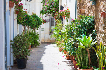 Fototapeta premium Cityscape of the village of Mojacar (Almeria, Andalusia, Spain)