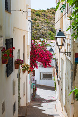 Fototapeta na wymiar Cityscape of the village of Mojacar (Almeria, Andalusia, Spain)