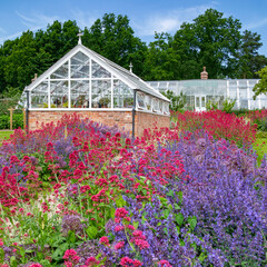 Gardening - Horticulture - Growing plants in a greenhouse.