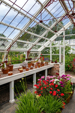 Gardening - Horticulture - Growing plants in a greenhouse.