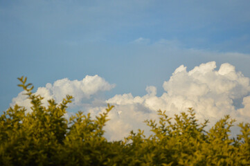 clouds over the field