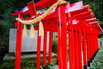 奈良一言主神社から九品寺の彼岸花