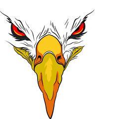 vector mascot, eagle head with the evil look.