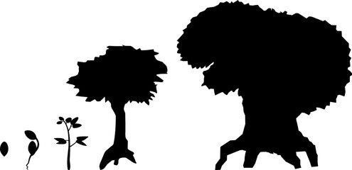Black silhouette of life cycle of tree: from seed to old tree. Stages of growth of cartoon tree isolated on white background