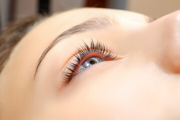 close-up of model's eye with laminated eyelashes after lamination procedure - obrazy, fototapety, plakaty