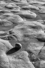 Pebble in a rockpool