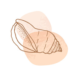 Hand-drawn seashell spiral with a texture of many dots.