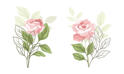 Fototapeta premium Pink Rose Blossom on Stem with Green Leaf as Garden Flora Vector Set