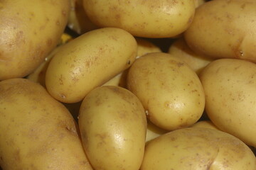 Potatoes are presented in group