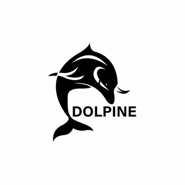 black and white dolpine illustration marine design vector