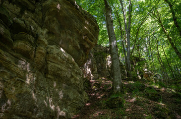 Fototapeta na wymiar rocks and big stones in the forest of luxembourg