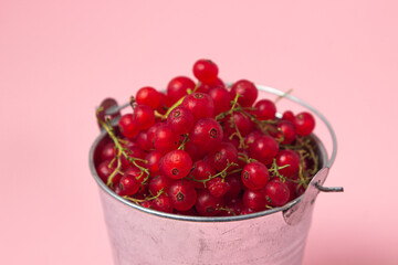 Red currants in a small bucket on a pink background. Bucket full of currants. delicious berry