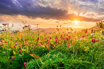 picturesque highland landscape with amazing view from hill with golden grass and green bushes