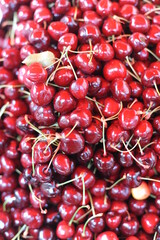 Fresh, juicy, raw, organic, natural sweet cherries fruits on a pile after harvest in summer