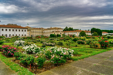 Fototapeta na wymiar Monza,Italy,0529200 Rose garden of the royal villa of Monza which can be seen in the background