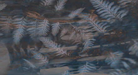 christmas tree branches texture