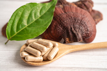 Dried lingzhi mushroom with capsule drug, alternative medicine herbal organic herb.